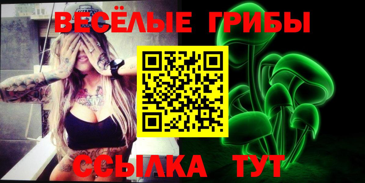 цены наркотик  Вход с VPN  Электросталь  Псилоцибиновые грибы прущие грибы 