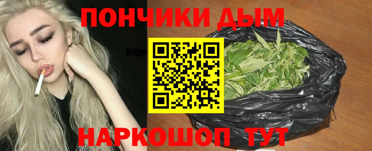 Шишки марихуана план Электросталь